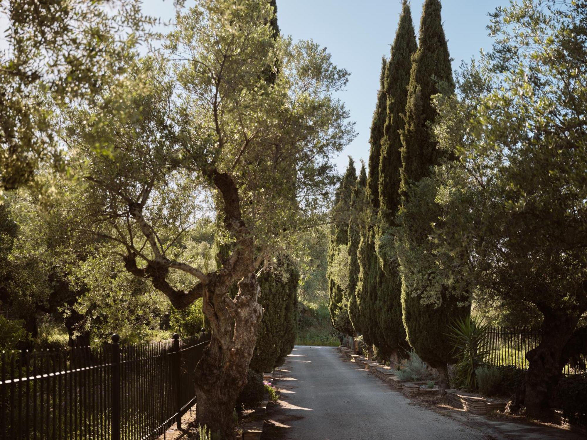 Almeira 4Acre Estate, For Unparalleled Seclusion, By Thinkvilla Zakynthos Exterior foto